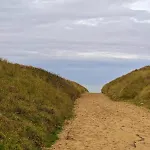 L'ecume Des Jours *